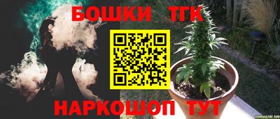 прущие грибы Бийск
