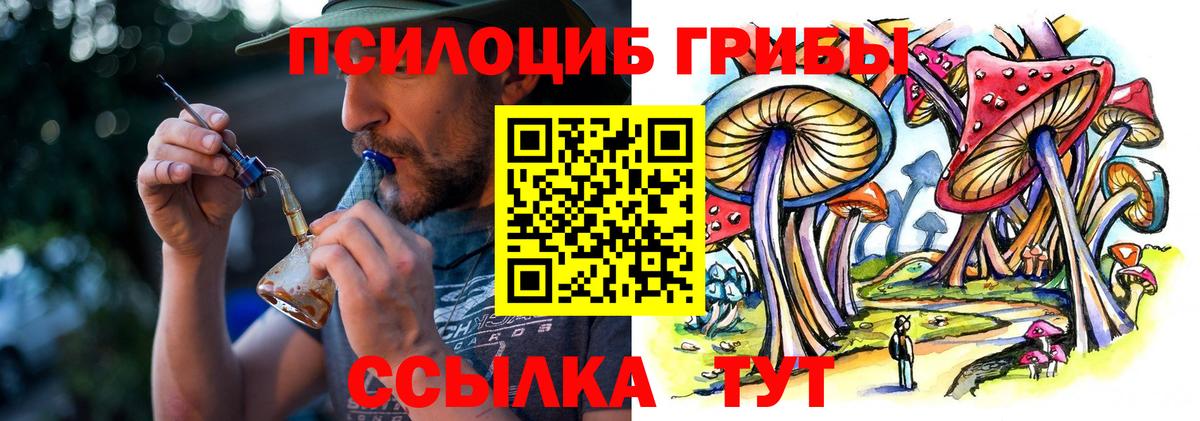 Галлюциногенные грибы Psilocybine cubensis Зеленокумск