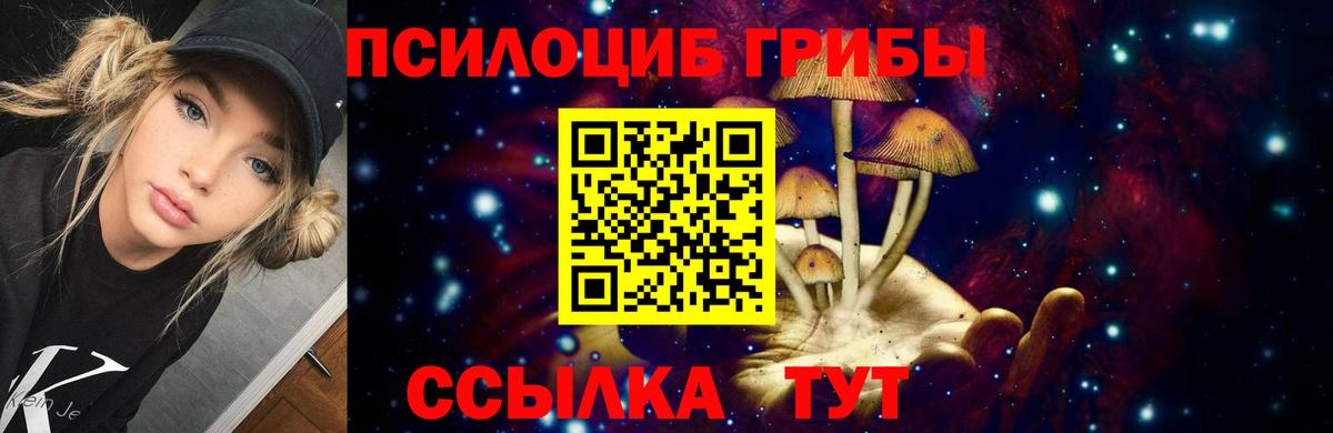 Зеленокумск  Псилоцибиновые грибы мицелий  Вход с VPN 